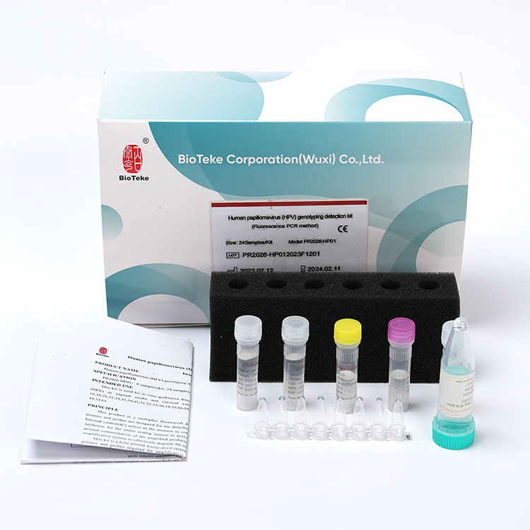 hpv-试剂盒