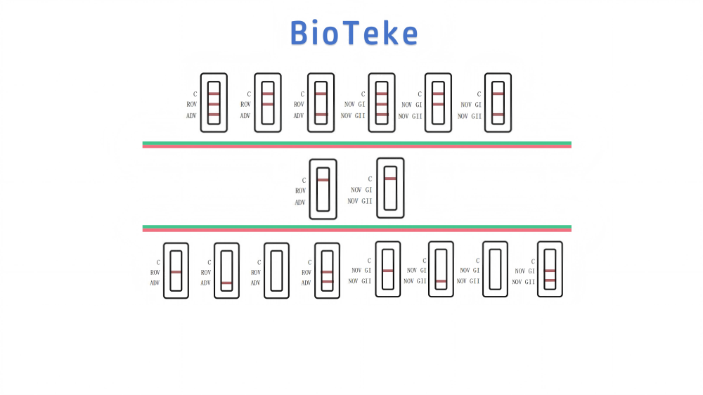 keputusan ujian virus rota adeno noro