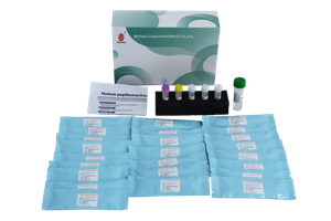 Kit Pengesanan Genotaip HPV Virus Papilloma Manusia (Kaedah PCR Pendarfluor) 