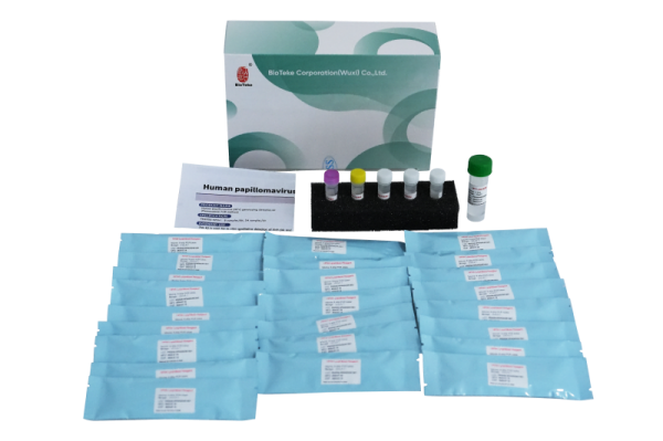 Kit Pengesanan Genotaip HPV Virus Papilloma Manusia (Kaedah PCR Pendarfluor) 