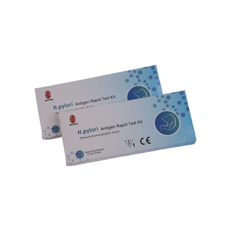 Kit Ujian Antigen Pantas Helicobacter Pylori
